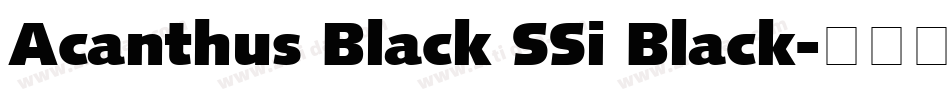 Acanthus Black SSi Black字体转换